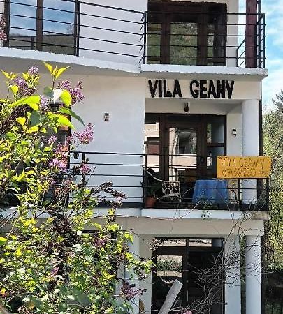 Pensiunea Vila Geany Srl Baile Herculane Exterior photo
