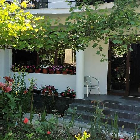 Pensiunea Vila Geany Srl Baile Herculane Exterior photo