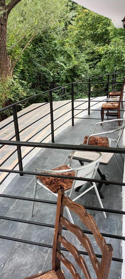 Pensiunea Vila Geany Srl Baile Herculane Exterior photo