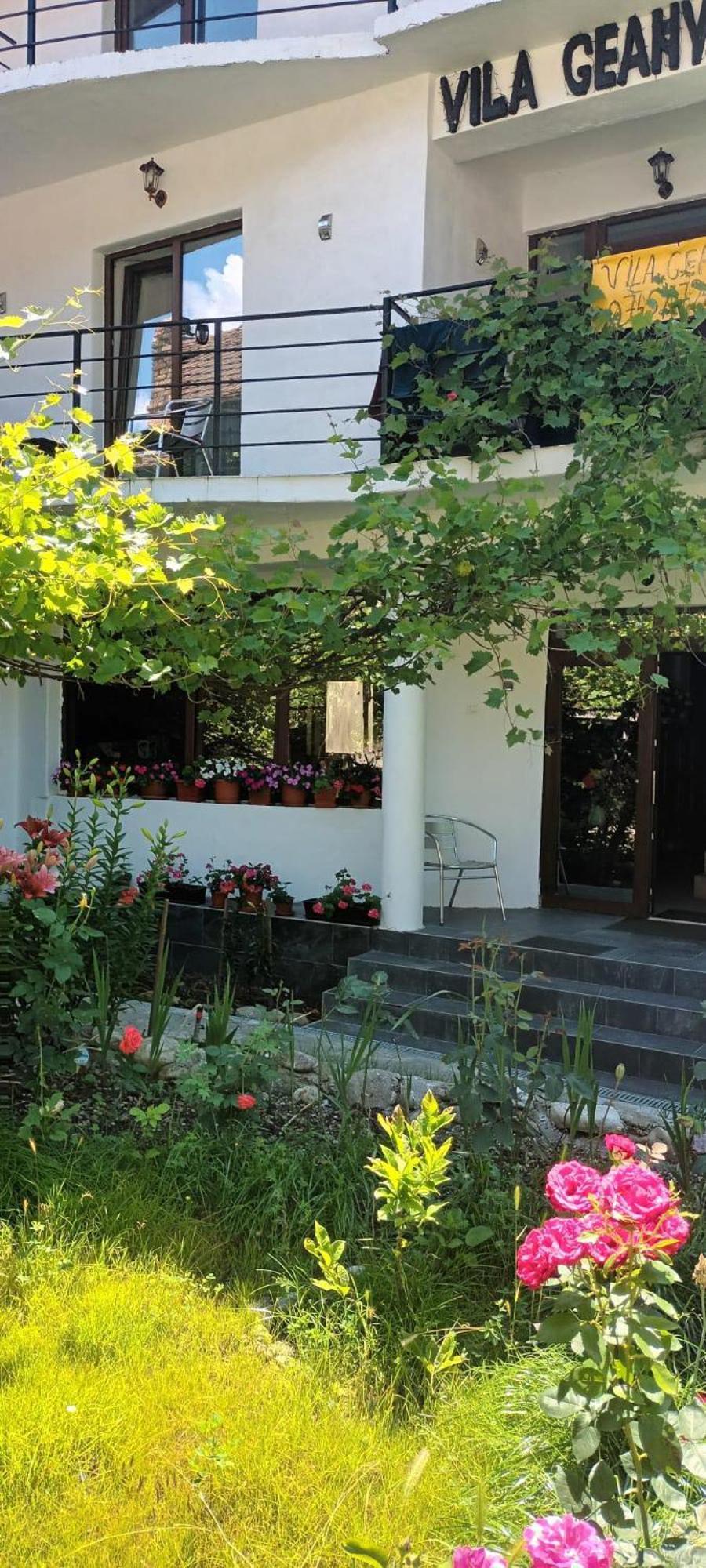 Pensiunea Vila Geany Srl Baile Herculane Exterior photo